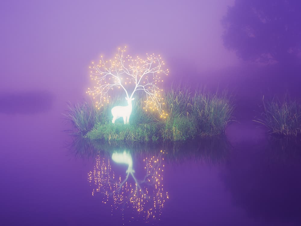 LUCA L 1-3, 120×160cm, C-print, 2022