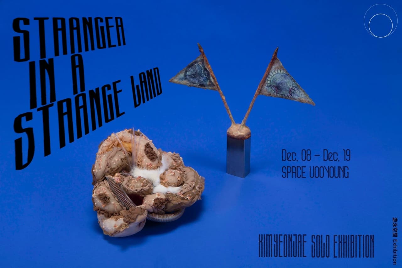김연재 개인전: Stranger in a strange land 1
