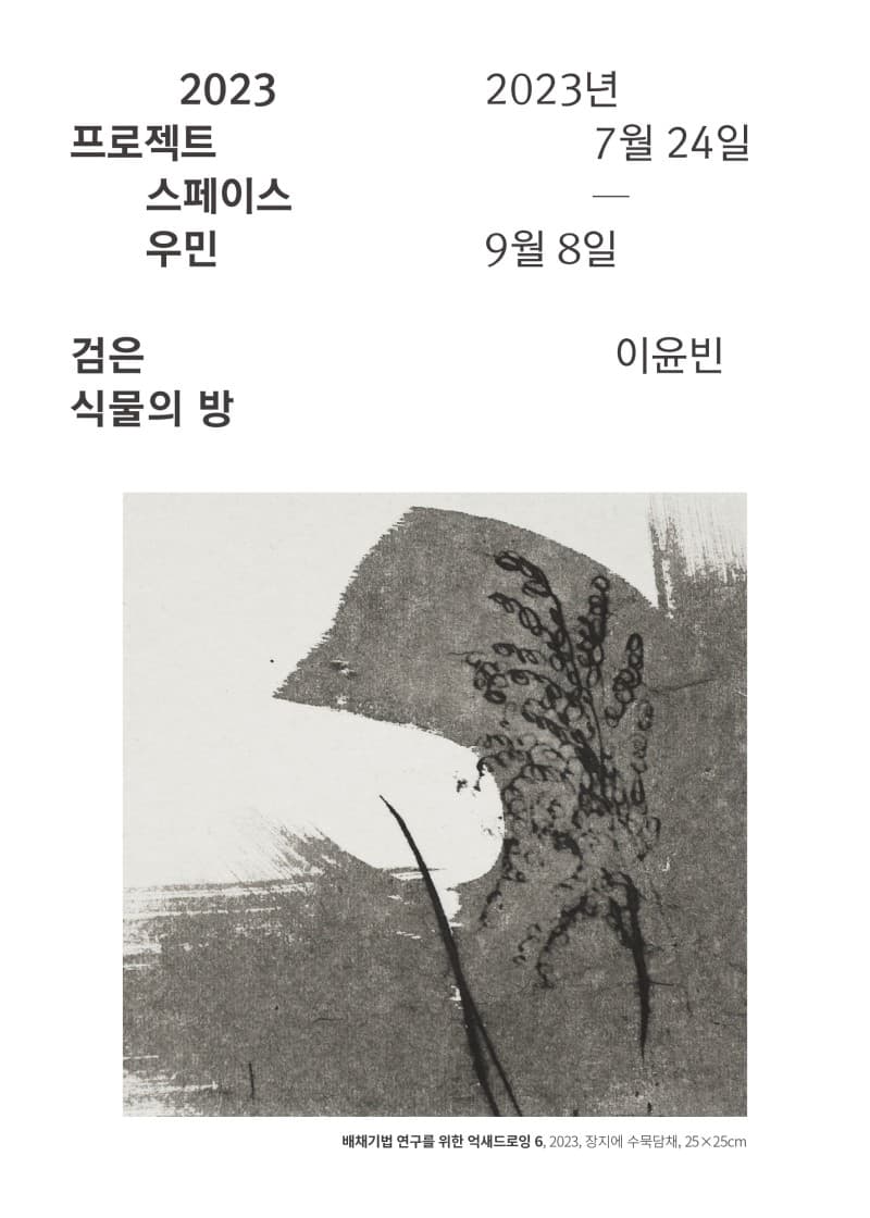 이윤빈: 검은 식물의 방 1