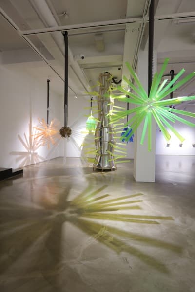 Studio1750+정혜숙, 알로카시아(Alocasia) / 가변설치 / 자작나무, 바람막이 천, 아크릴, 비닐, 송풍기  / 2017