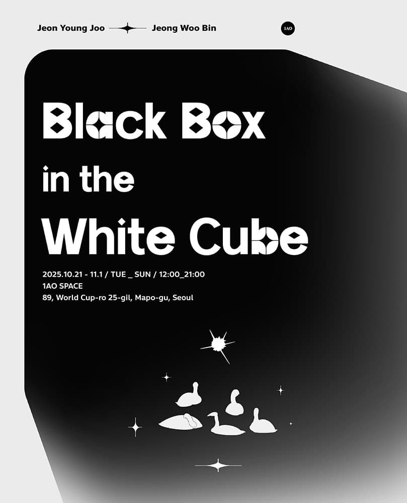 Black Box in the White Cube 1