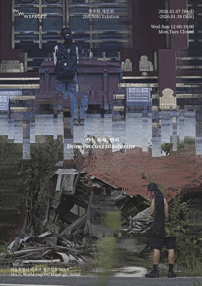 장주원 개인전: 전이, 복제, 변이 1