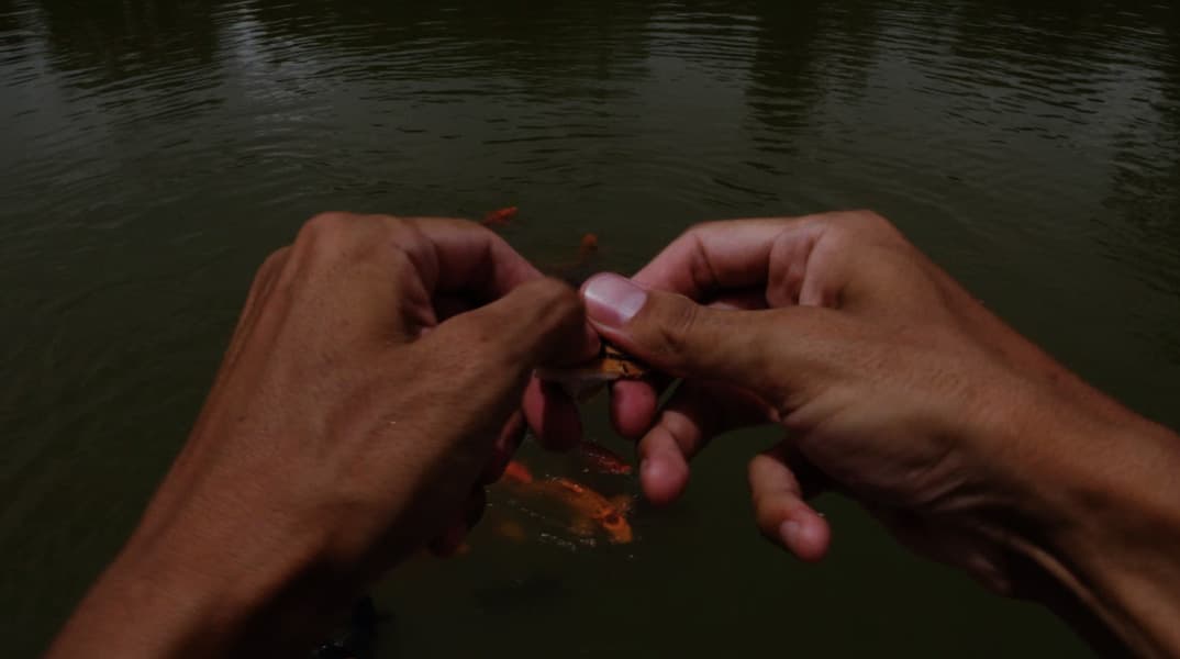 Alexandre ERRE, Feeding the multitude, Video, 11min. 24sec. 2017