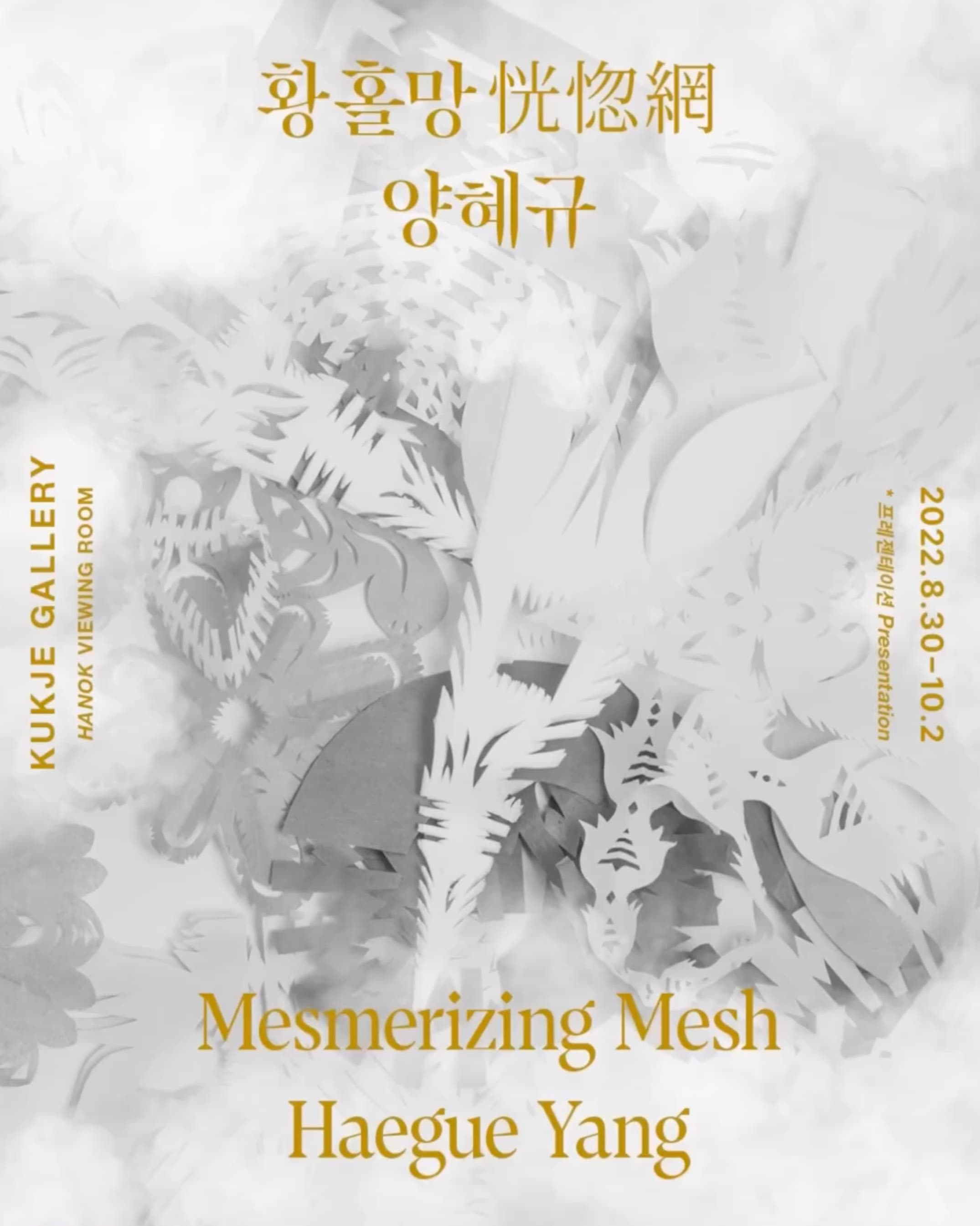 양혜규: 의사擬似-합법 / 황홀망恍惚網 2