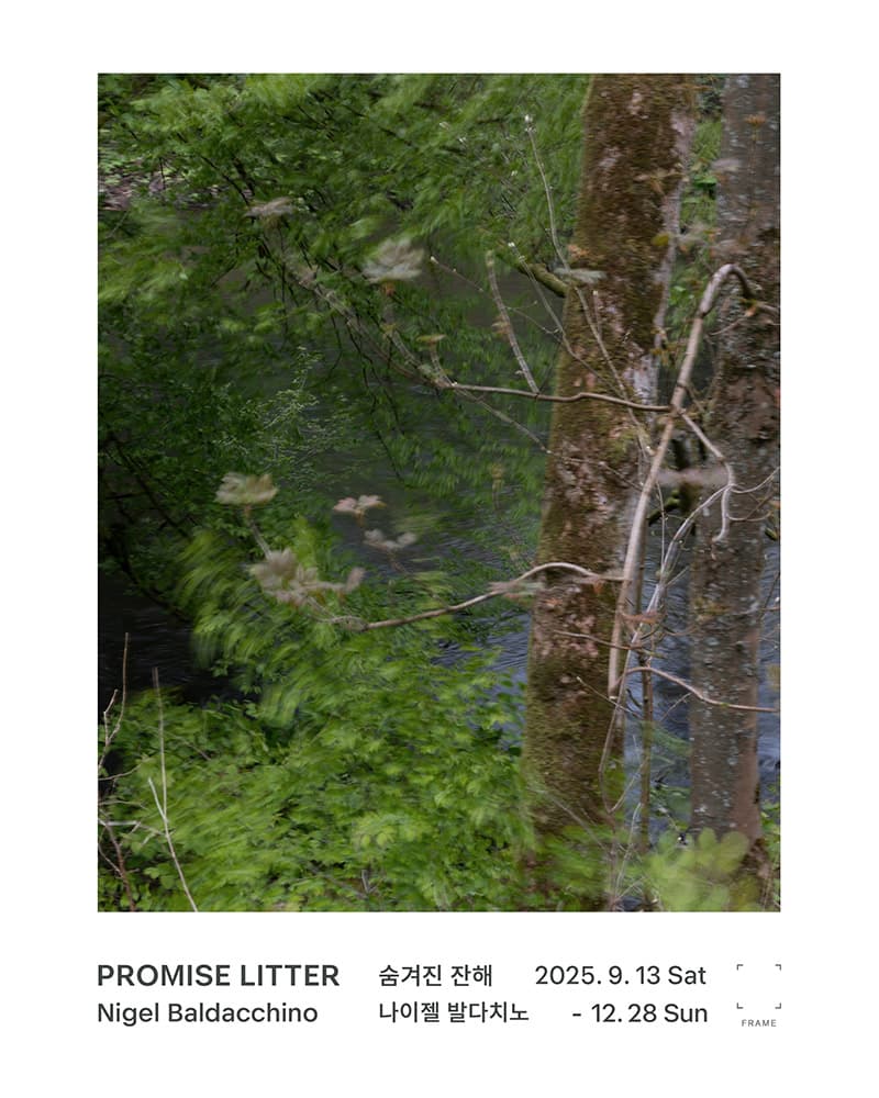 나이젤 발다치노: Promise Litter 숨겨진 잔해 1