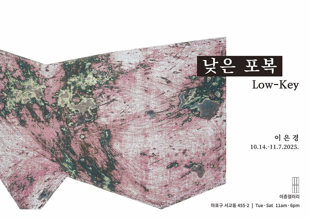 이은경 개인전: 낮은 포복, Low-Key 1