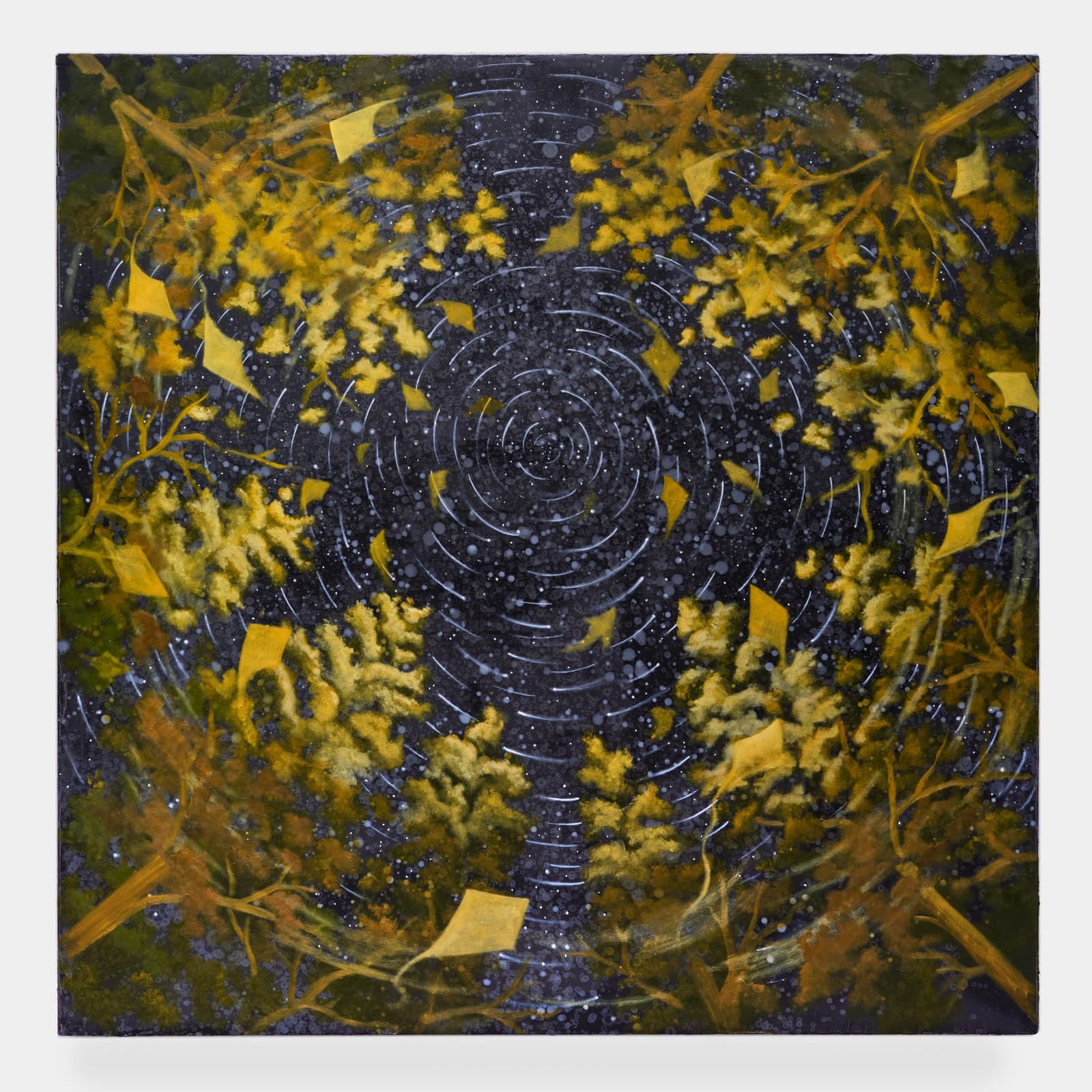 DOMINIC CHAMBERS, Sighting: Forest Rorschach, 2026, Oil on linen, 152.4 x 152.4 x 3.8 cm