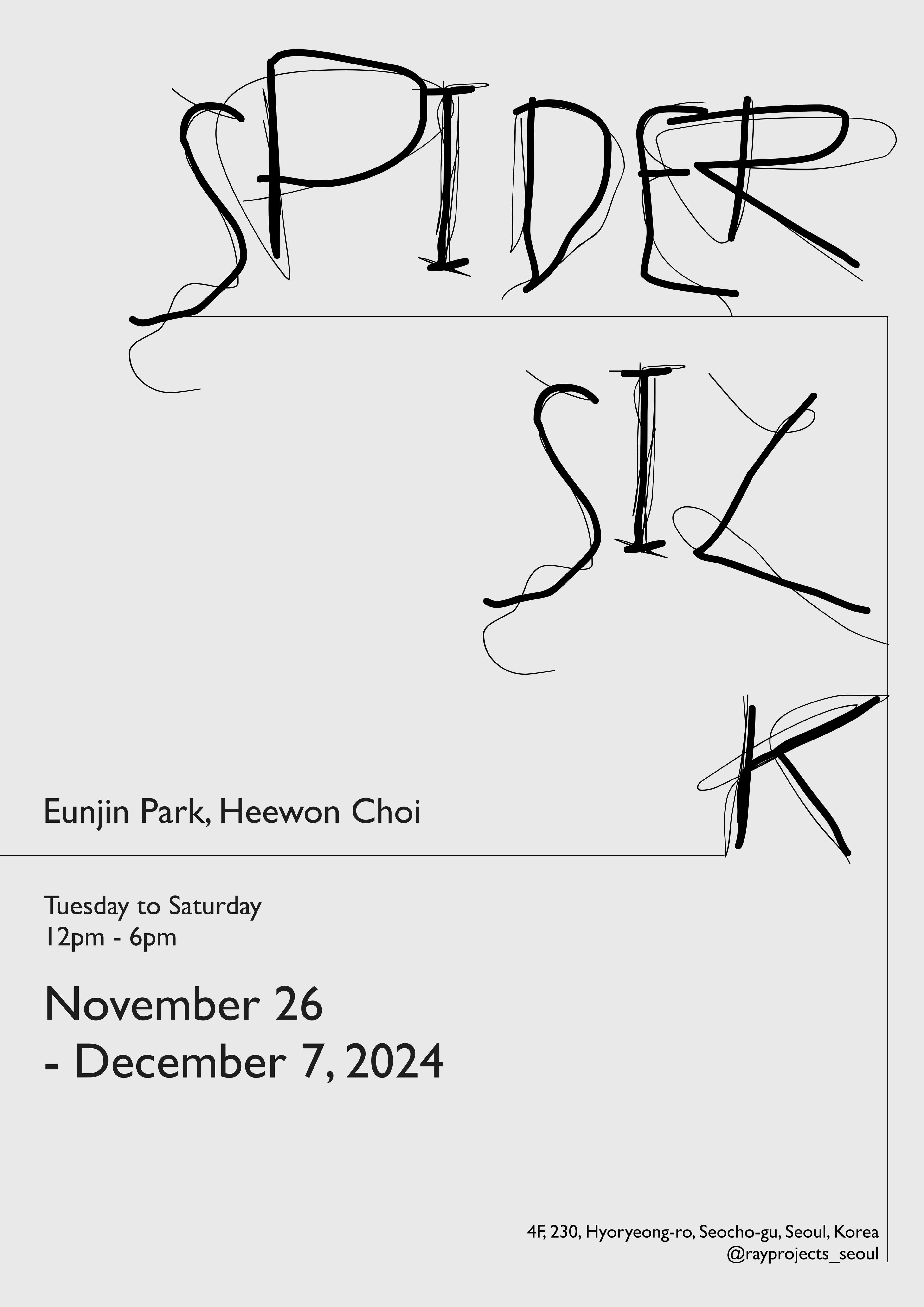 SPIDER SILK 1
