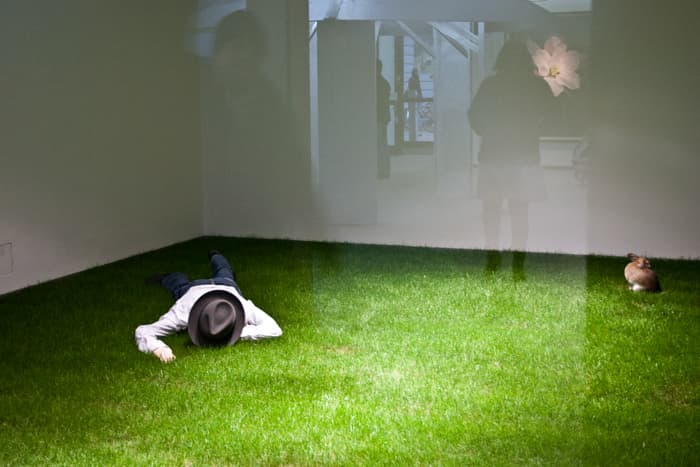 박정기, 어떻게 죽은 보이스에게 그림을 설명할수 있을까_유리, 나무, 왁스, 피규어, 토끼_가변크기_2010