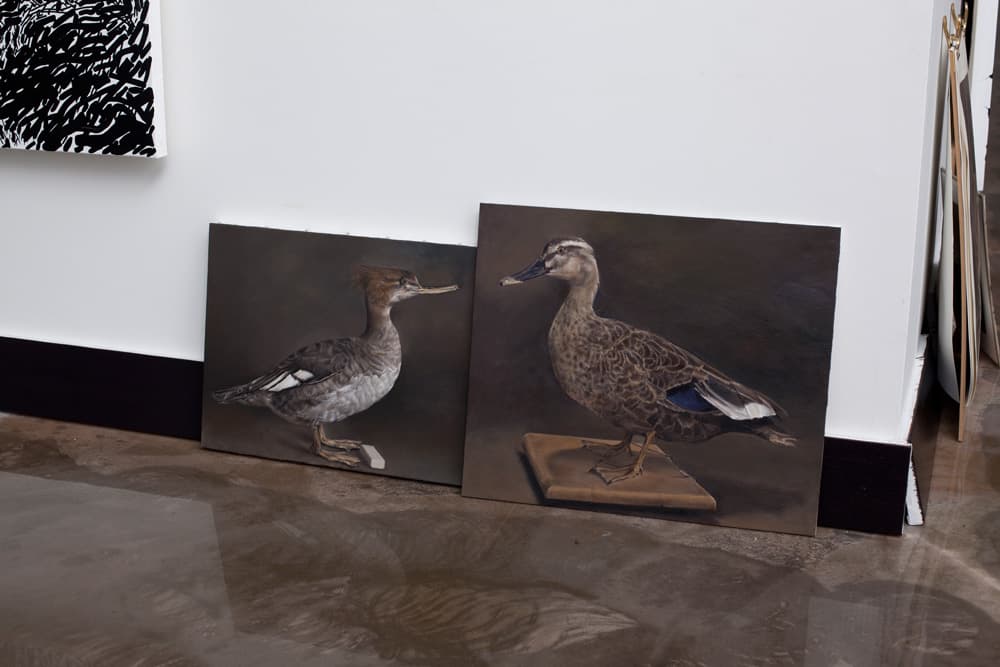 김성윤 박광수 2인전 : 블랙 더 정글 BLACK THE JUNGLE
