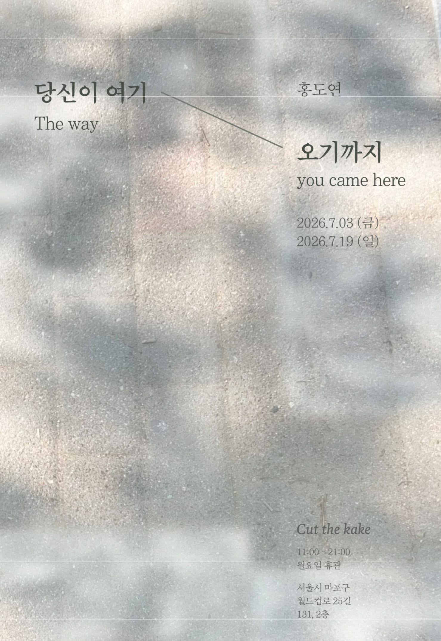 홍도연 개인전: 당신이 여기 오기까지 The way you came here 1