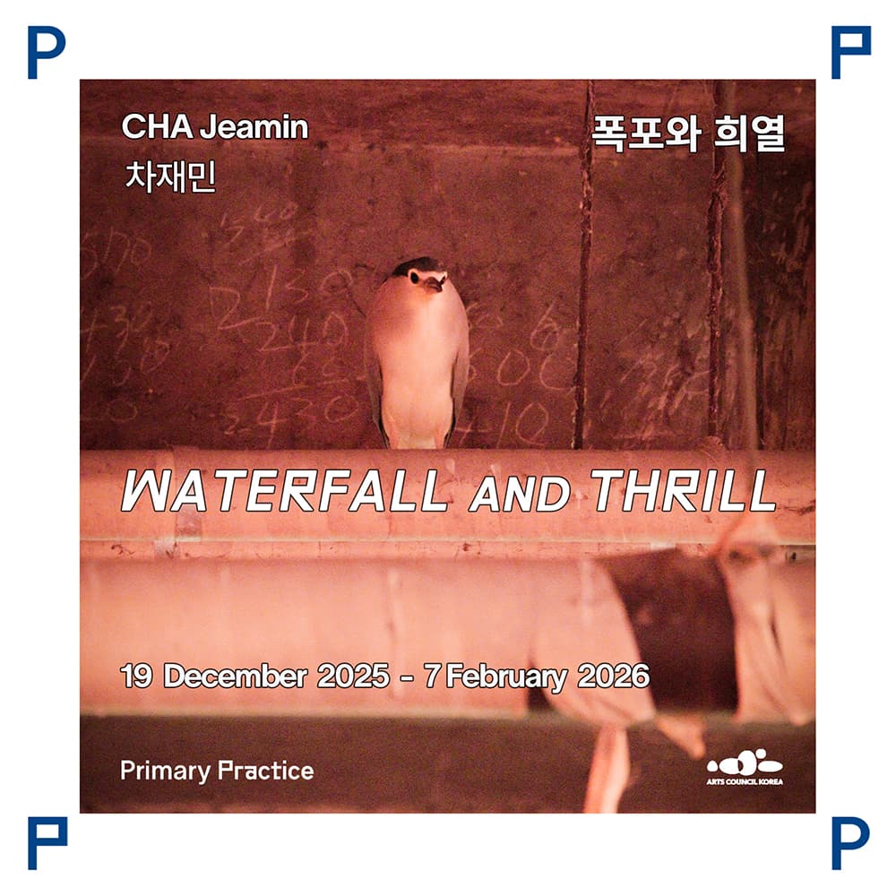 차재민 개인전: 폭포와 희열 CHA Jeamin: WATERFALL AND THRILL 1
