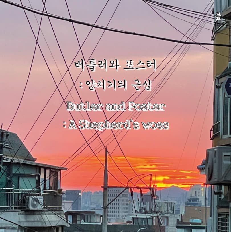 버틀러와 포스터: 양치기의 근심 1