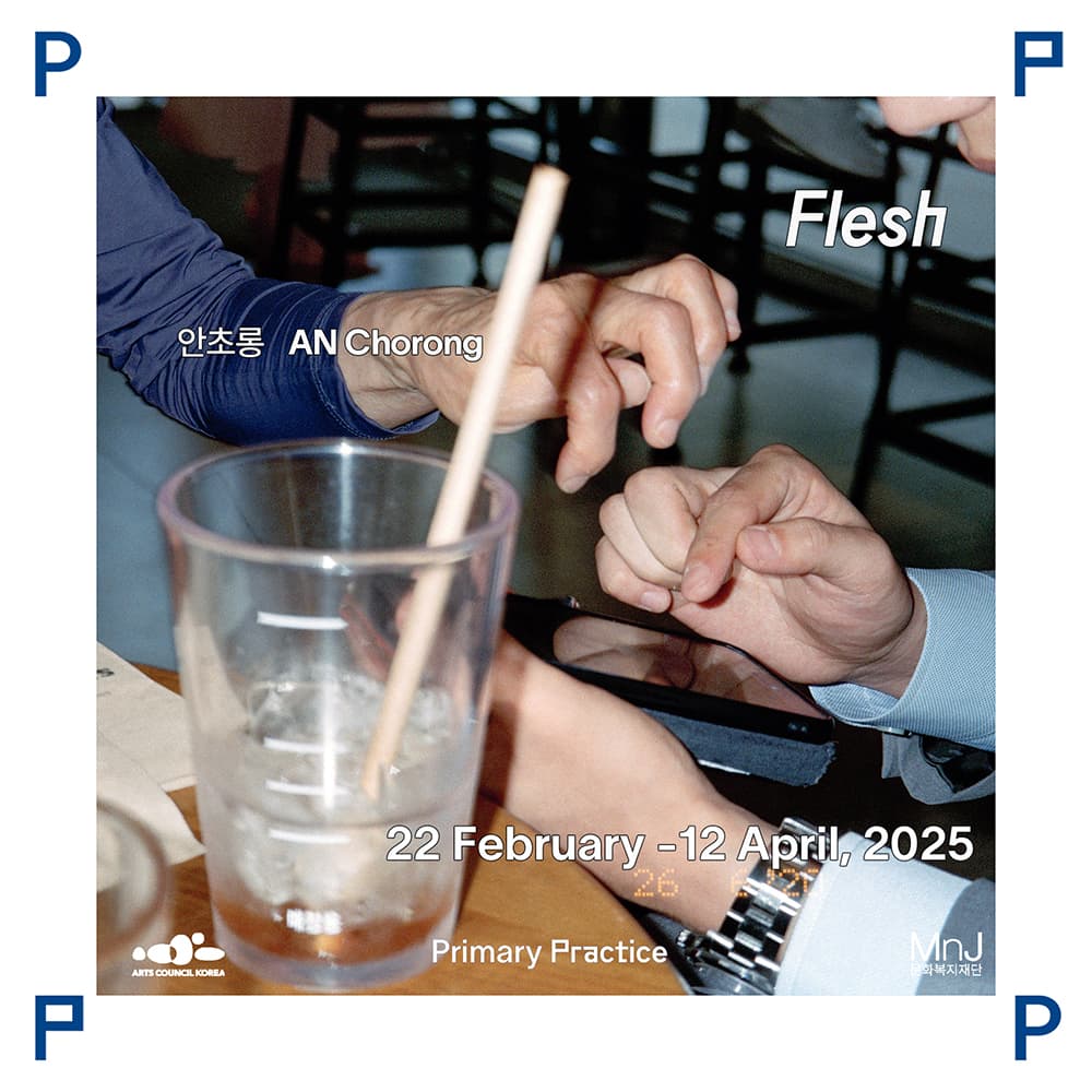 안초롱 개인전: Flesh 1