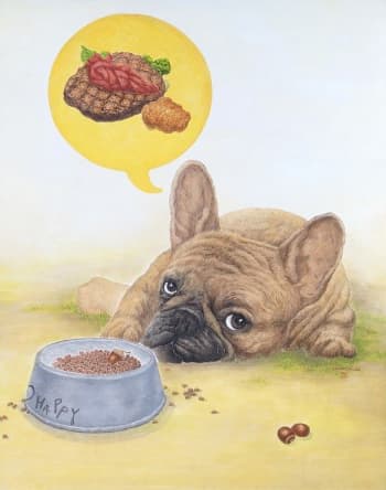 하루.K_해피는 새해꿈꾼다._91x72cm_한지에수묵채색_2017