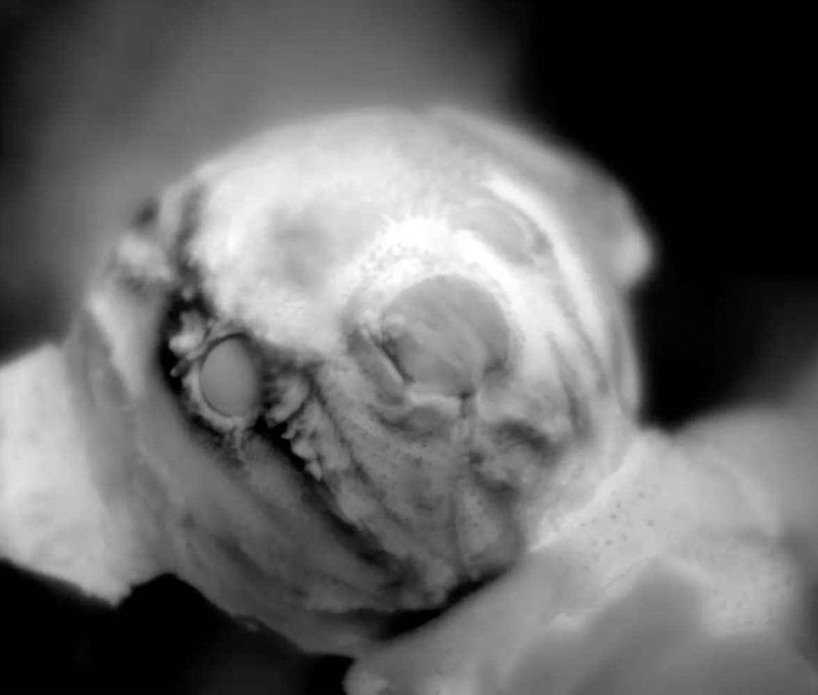 Korakrit Arunanondchai: Post Ritual Bodies 1
