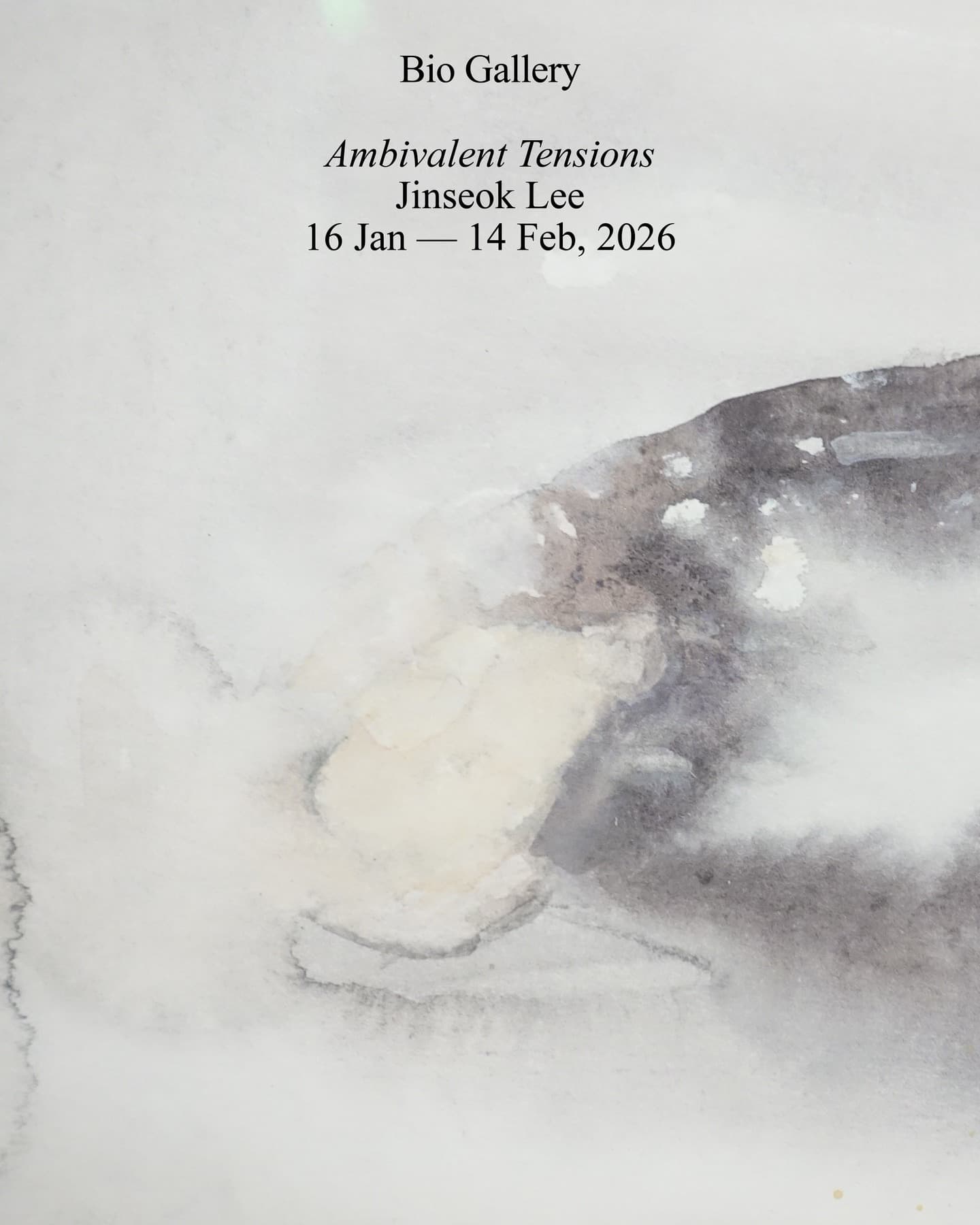 Jinseok Lee: Ambivalent Tensions 1