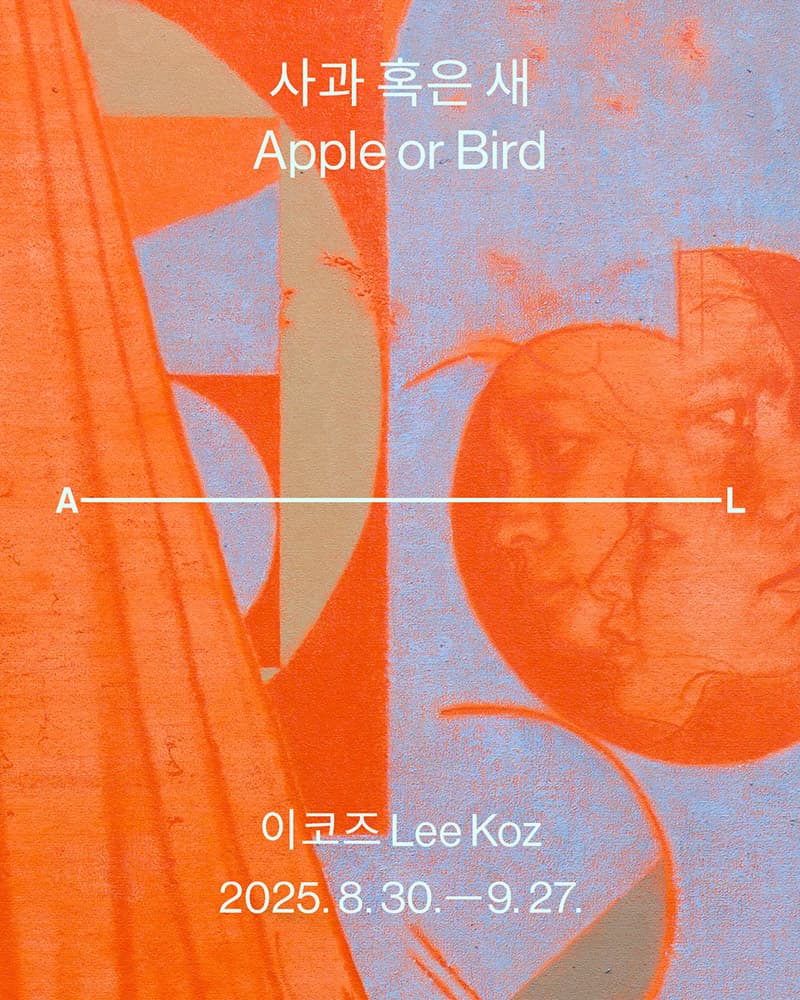 이코즈 개인전: 사과 혹은 새 Lee Koz: Apple or bird 1