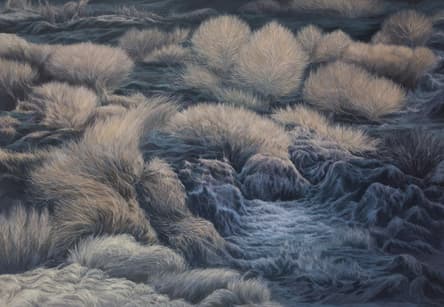 짙은 품2 , 캔버스에 유채, 162.0x112cm  2015