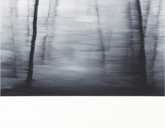 La Foret 숲,Pigment, Acrylic on Canvas,91X116.8,2014