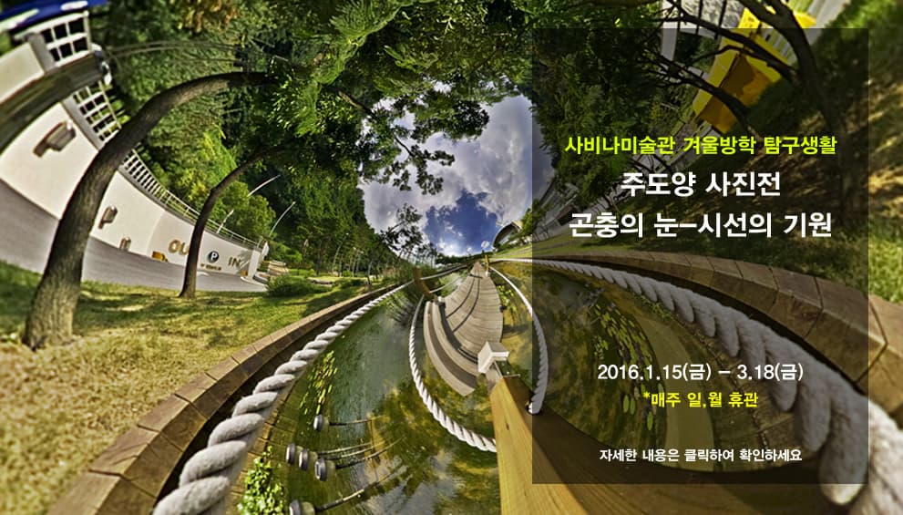 주도양 사진전 : 곤충의 눈 - 시선의 기원 1