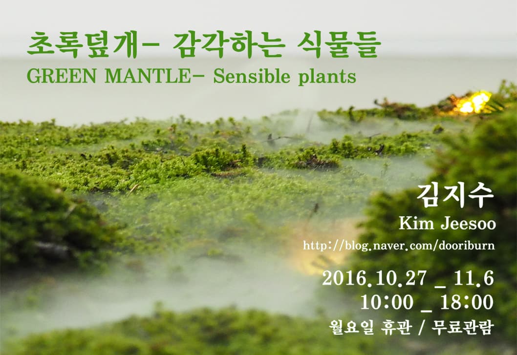 김지수 개인전 : 초록덮개- 감각하는 식물들 KIM JEESOO : GREEN MANTLE- Sensible plants 1