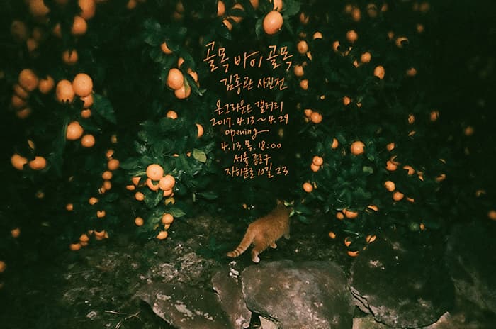 사진 : 김종관, 견딜 수 있는 어둠 속, 2015