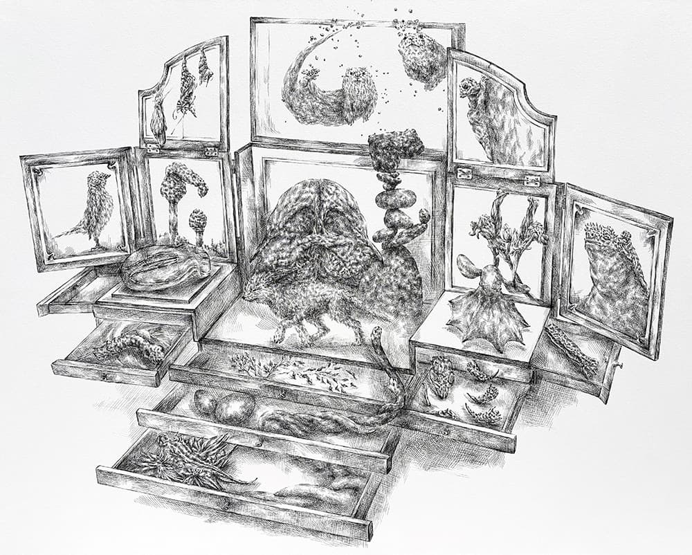호기심 가구, Cabinet of Curiosities #1, 종이 판넬에 펜, 73x91cm, 2025