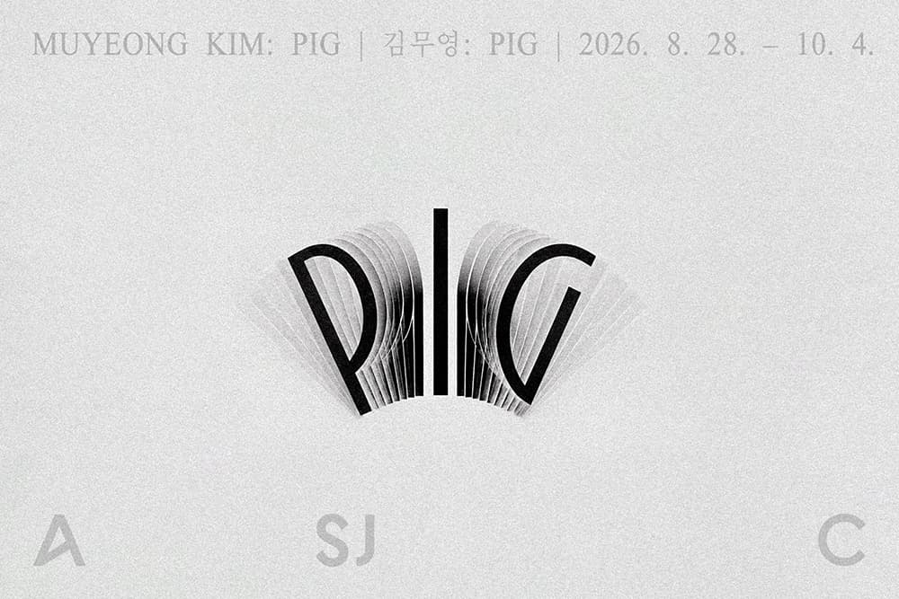 김무영: Pig 1