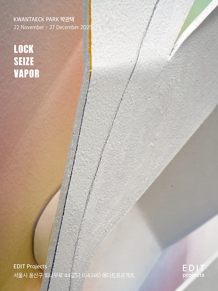 박관택 개인전: LOCK SEIZE VAPOR 1