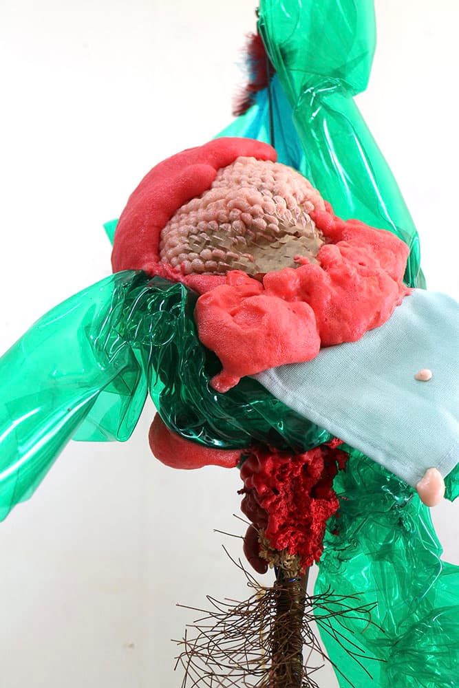 김수민, 〈Canna zany〉, 수집한 오브제, PVC, 우레탄폼, 고양이 장난감, 종이, 먼지닦이, 행주, 철사, 지철사, 포장지,181×28×37cm, 2025 (작품일부)