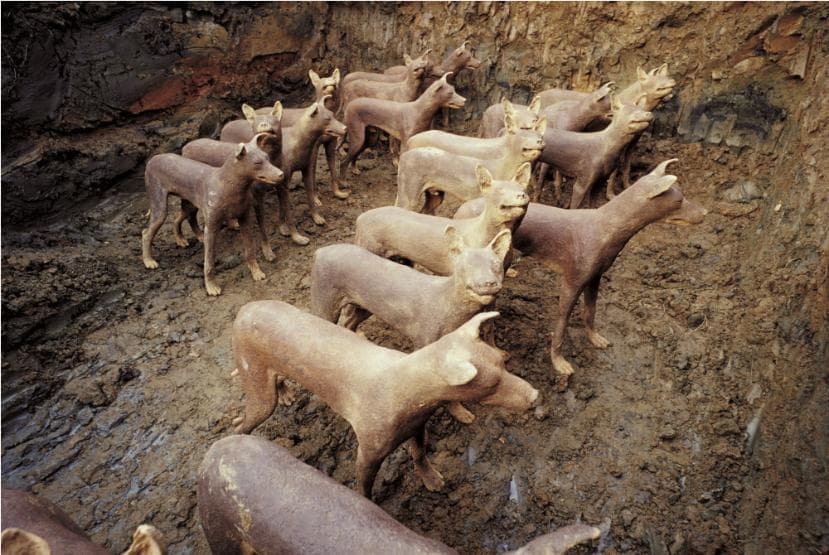 아쉬켈론의 개(dog of Ashkelon), 쥬드 뽐므 개인전 당시 파리 뛸르리 정원에서 진행 된 발굴프로젝트, 2000