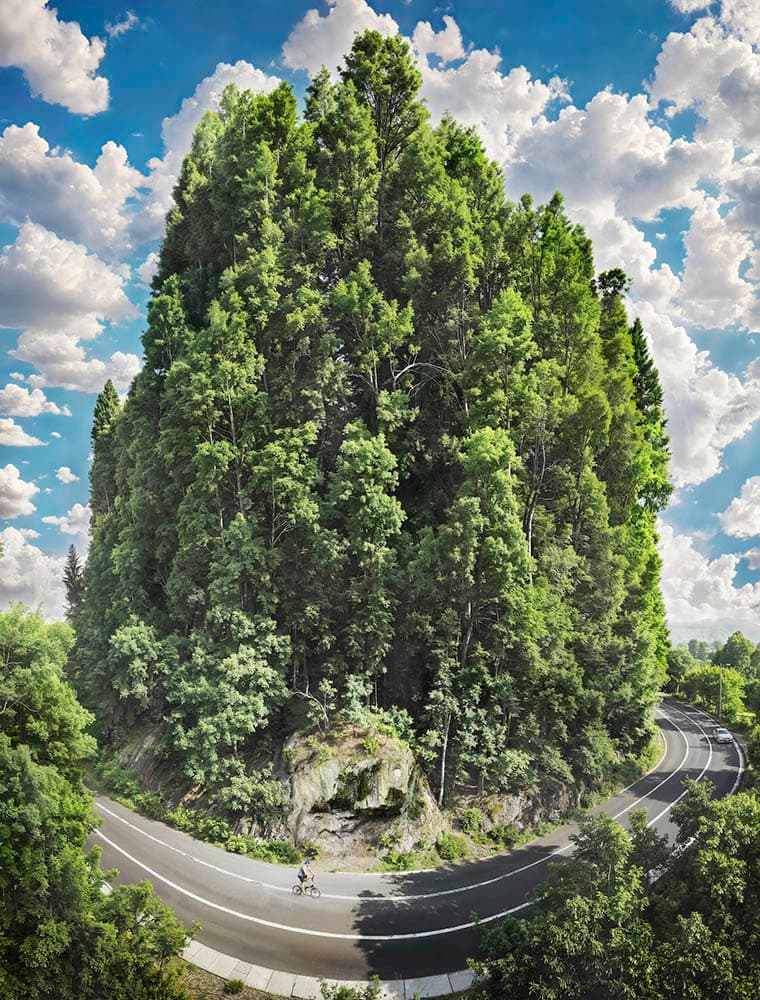 임상빈, Rising Grove 145.5x119.5cm, archival pigment print, diasec, 2026