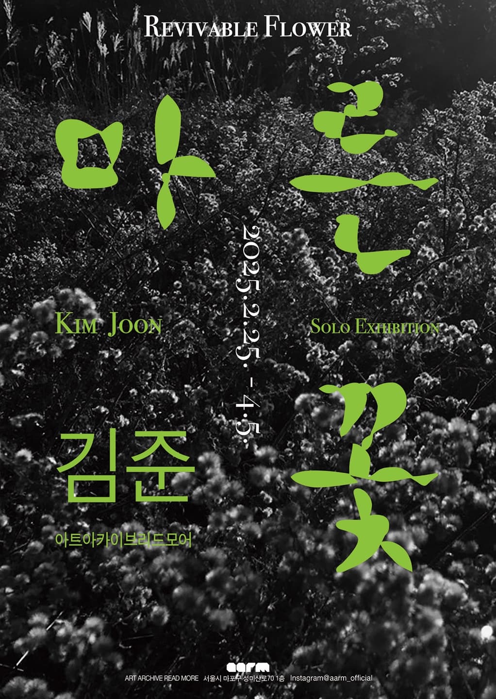 김준 개인전: 마른 꽃 Kim Joon: Revivable flower 1