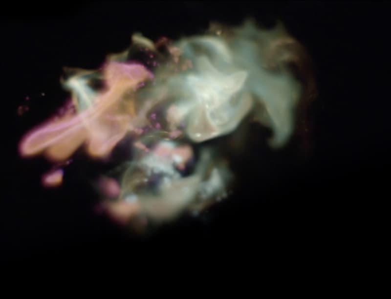 멜빈 모티, <코스미즘> Melvin Moti, Cosmism, 2015, 28 min., 4K video, sound, color