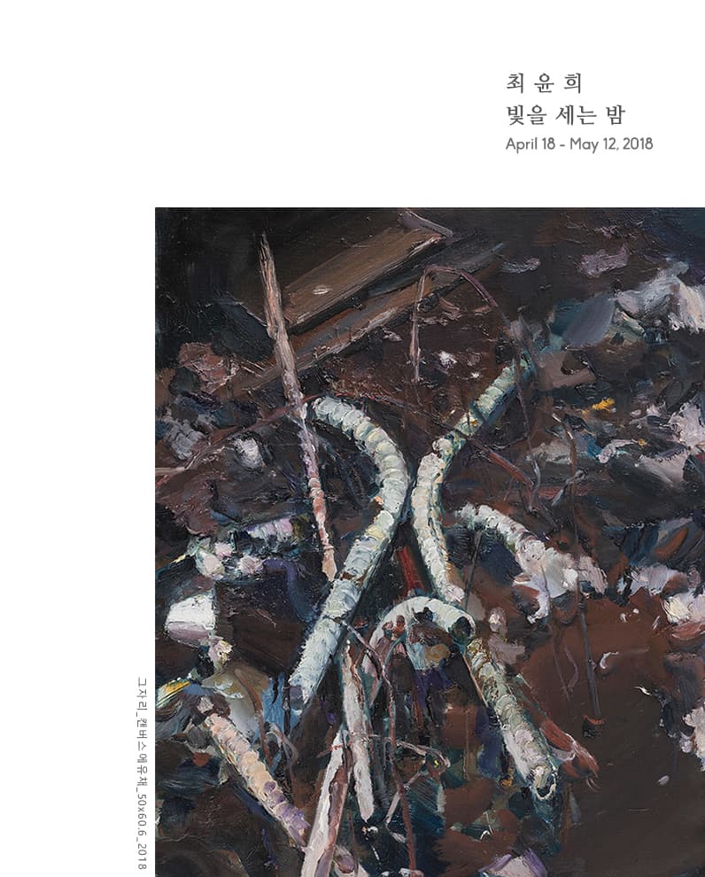 최윤희 개인전 : 빛을 세는 밤 1