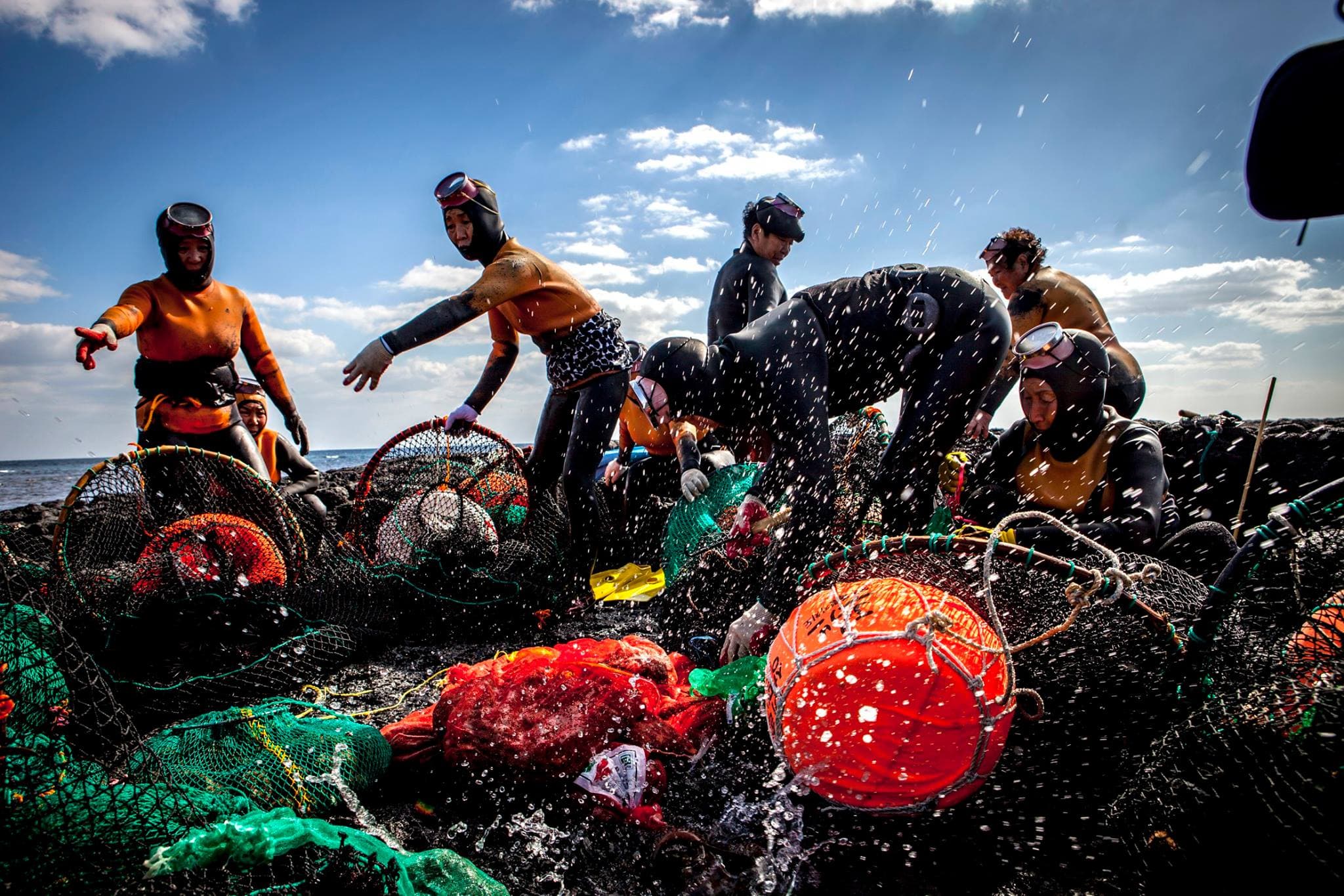 김다운사진 <Haenyeo at work in groups, Onpyeong-ri, Jeju>
