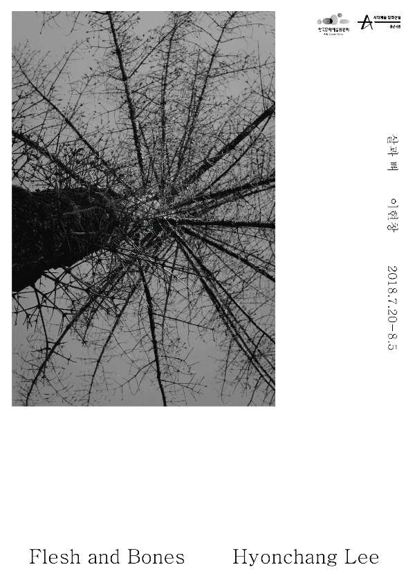 이현창 개인전 : 살과 뼈 Hyonchang Lee : Flesh and Bones 1