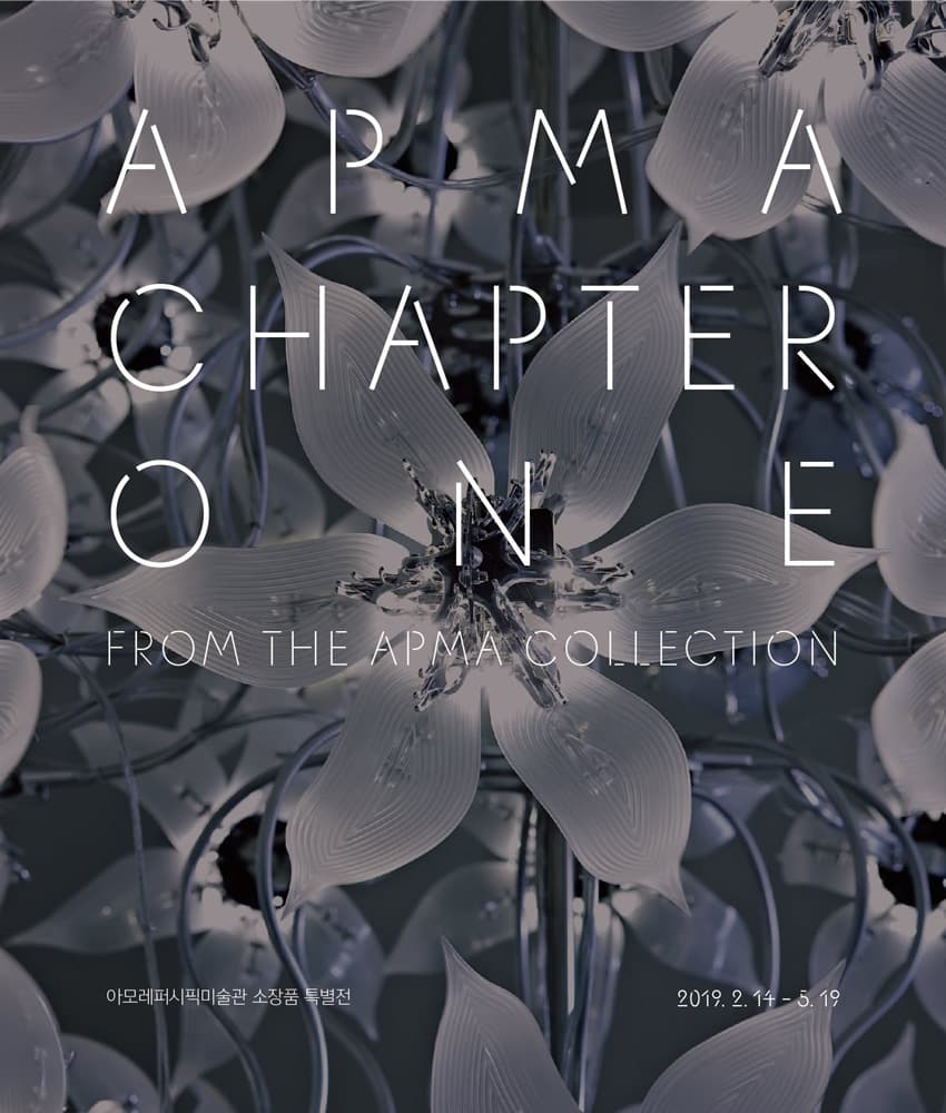 APMA, CHAPTER ONE- FROM THE APMA COLLECTION 1