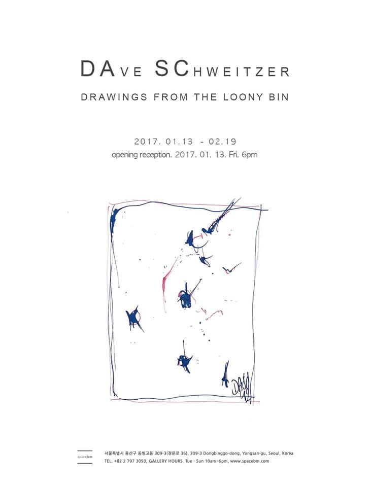 데이브 슈바이처 DAve SChweitzer : Drawings from the loony bin 1