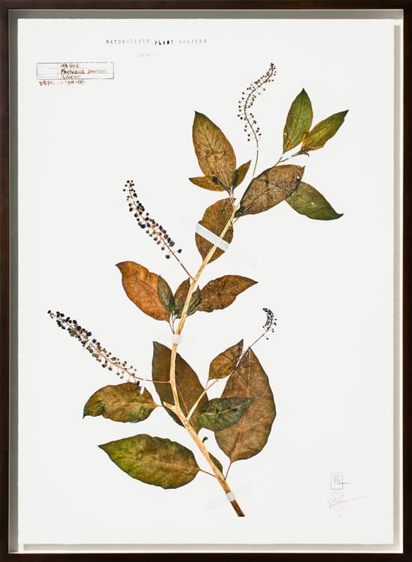 나현, 난지도 15-17 NANJIDO 15-17 2015, 107×76.5cm, 디지털 아카이벌 피그먼트 프린트에 혼합매체 Mixed media on Digital Archival Pigment Print