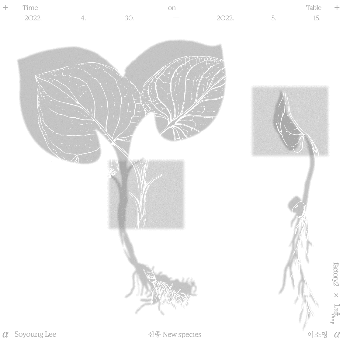 이소영: 신종 New Species 1