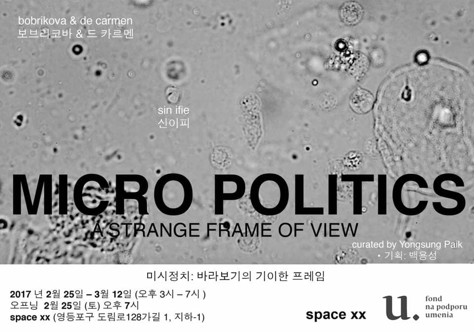 미시정치: 바라보기의 기이한 프레임 Micro-Politics: A Strange Frame of view 1