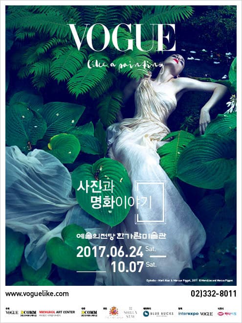 보그 라이크 어 페인팅 1