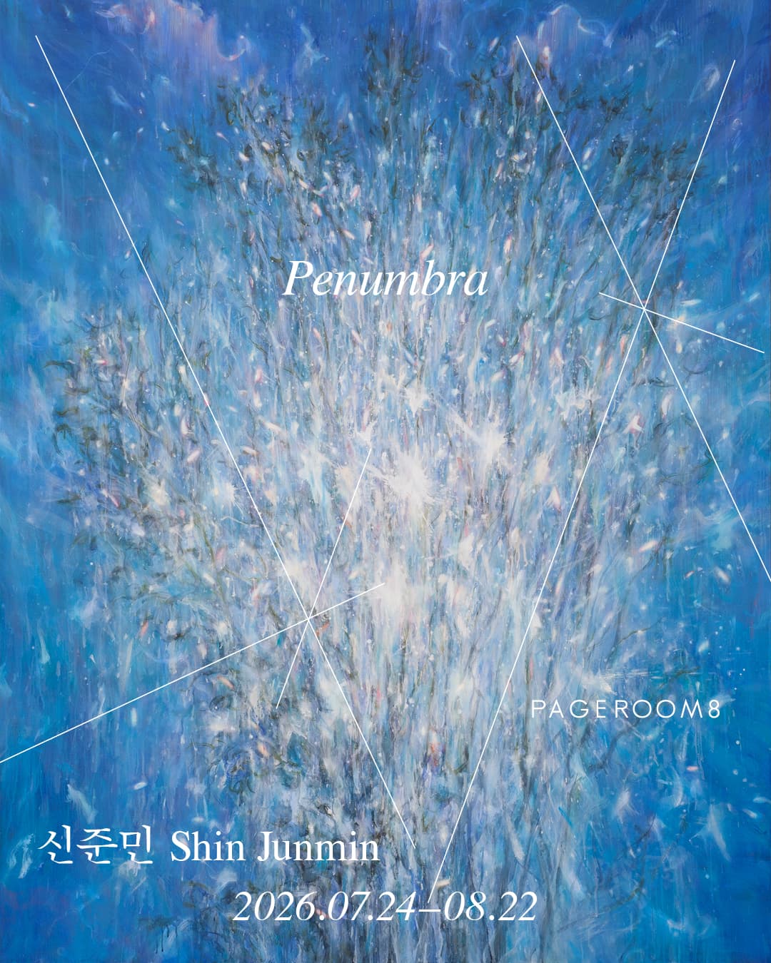 신준민 개인전: Penumbra 1