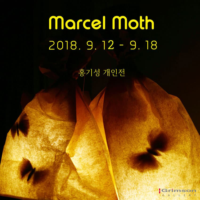 홍기성 개인전 : Marcel Moth 마르셀 모스 1