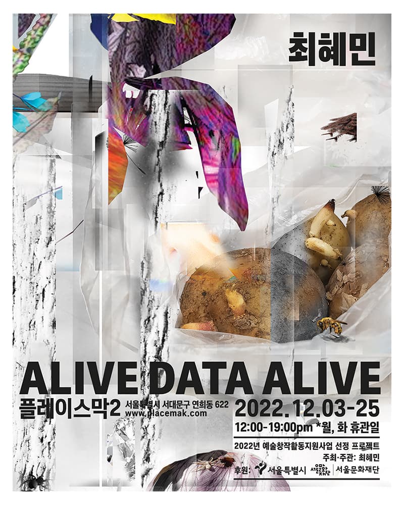 최혜민 개인전: ALIVE DATA ALIVE 1