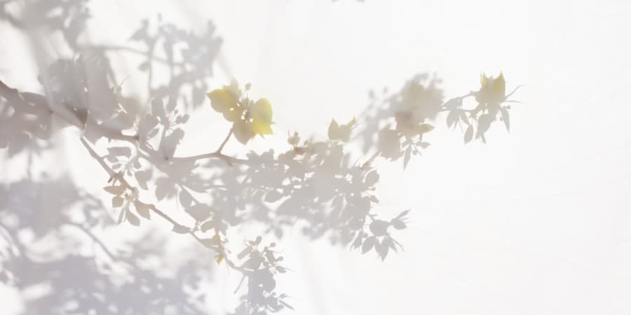 ​송미생. 80cm×40cm. Archival Pigment Print. 2016