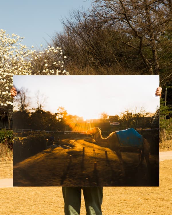 37° 32_ 54.642 N 127° 4_ 54.726 E Digital C Print 120x150cm 2016