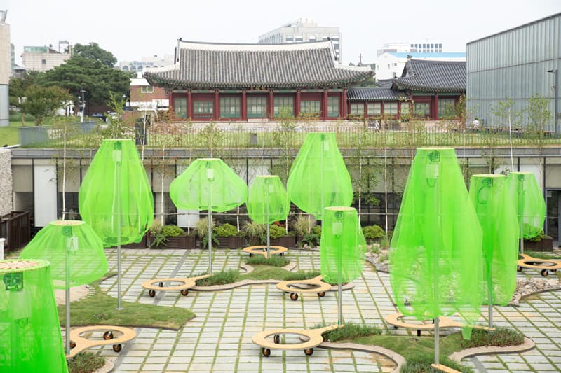 삶것(양수인), 원심림, 야외설치, 2017 (사진 ssp, 제공 국립현대미술관)
